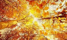 心烦意乱、难以入眠的经典名言佳句:如何缓解情绪压力与焦虑困扰?