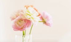 令人绝望的痛苦表达：描述家庭羁绊中产生的情感悲哀的句子