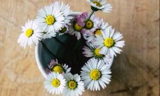 令人陶醉、深情而又意蕴悠长的唯美句子个性签名,让你散发出独特的气质与文艺韵味