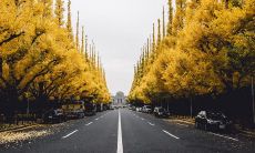 深入探讨感情和亲情之间的差异:彻底解析两者的定义、表现和产生的原因