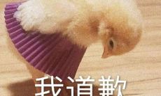 如何表达道歉并用幽默的方式化解尴尬?亲和好说话的技巧大揭秘!