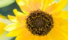 让清纯可爱的女孩子心花怒放的欢快语句