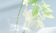 富有深意而带给人快乐的句子,蕴含智慧与哲学的自我鼓舞之语