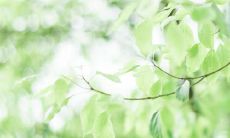 享受解脱的幸福:摆脱某人后感到快乐的表述