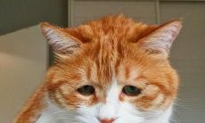 20句适合用来发朋友圈的表达不开心情感的长句子推荐