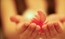 由于我未获你的喜爱，故你未曾理解的心痛之语句片刻难愈