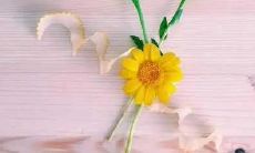 如何运用恰当的语言表达方式提升个人境界水平?