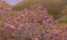 一些经过特殊经历的人们熬过一段时间后悄悄地变得更加强大和有能力