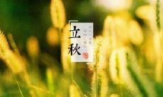 关于立秋的发朋友圈说说：述说秋天来临、渐凉之感、思考万物季节变化的时节感受与情感交织之美