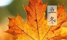 2021年立冬心情短语分享,全面探讨立冬节气的心理影响和应对技巧