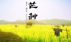 2022最新芒种祝福语说说配上精美图片的朋友圈动态，让你感受到岁月静好、温馨祈愿及心灵沉淀的甜蜜佳作