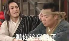 从经典短句到损人搞笑句子:探索幽默的各种形式与表达方式