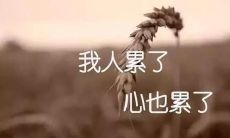 经历太多疲惫心情，内心疲惫说说：感觉好像无法承受更多的伤痛