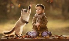 领导接受手术后，下属通过短信送上关怀和祝福的感人故事