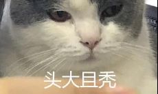 如何创造一篇即可爱又沙雕的文案,让你感到欢乐和愉悦?