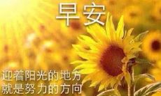 一些值得用来发朋友圈清晨问候语的句子,使你的好友感受到温馨的早安祝福