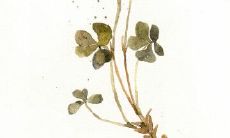 惊艳于真诚友情的两男一女引人深思的心灵触摸语句