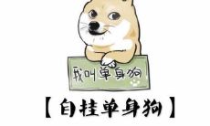 单身独白：探寻一个人的内心世界-记录于5月20日