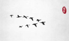 用优美的句子表达战友之间深厚的情谊，赋予其更深刻的含义