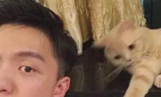 一段令人感动落泪的表白独白