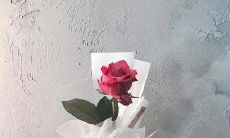 10个字的唯美短句：感受一瞬间的心动与思考