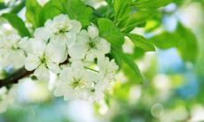 分享快乐:一份满是幸福的朋友圈动态