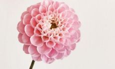 一篇充满唯美和霸气的八字短语句子合集