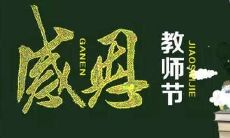 感恩之心溢出,致敬伟大的教育者:为您送上感恩的话语,表达对老师的无限感激之情
