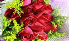 2022年最新恋爱话题分享:恋爱经验、情感感悟与爱情哲理,尽在恋爱说说!