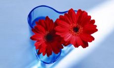 蕴含着强烈情感的男性吸引力巨大的社交媒体动态