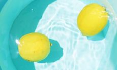 2022年最新版的个性化说说,包括数量超过2022条的独具特色的原创内容!