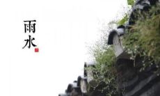 用唯美的句子记录雨水时光:分享给好友的雨季感悟