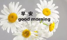 早晨如何用短信给男友送上甜蜜问候,分享感情和增强互动?