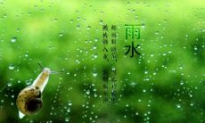 分享2022年雨水节气下的心情:愉悦,感恩与期待