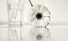 早晨呼唤关怀：温馨问候短信传递您的关爱！