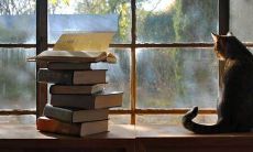 周未进群问候短信：在工作繁忙的日子里，向亲友发送温馨问候，增进彼此情感交流的有效方式！