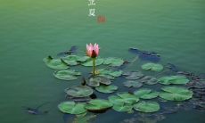 收录了数百年来流传至今的立夏名人名言和哲理，值得深思的经典语录！