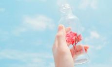 2022必备经典句子，每句扣人心弦，铭刻心灵的句句之选