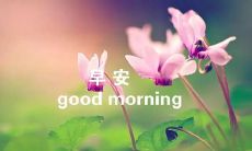 - 史上最全!2022年朋友圈经典说说大盘点——让你说出一整年的早安话语!