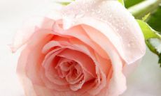 经历很多年的时光，我仍然深爱你——一段长长的"往后余生"的爱情故事