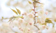 分享生活点滴:让你朋友圈更真实的大实话说说句句!