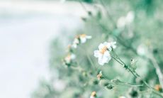 探究朋友圈的神秘语言,收录丰富多彩的深奥说说大全