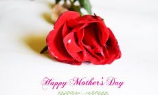 送给全天下最伟大的女人——母亲节祝福词(15字)