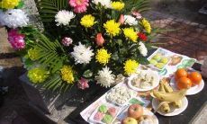 在踏上祖坟之旅时，我所感受到的强烈情感：一份对祖先恭敬的心、对过去无限怀念的情感和对今后的人生规划的启迪和思考