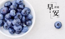 朋友圈2022最新早安心语,富有温馨祝福、感动人心的原创句子汇总分享!
