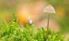 如何在小暑这个节气中充分利用朋友圈分享和交流?