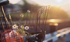 2021最全面的微信朋友圈说说,包含各种时尚流行词汇,让你的社交媒体更有趣、更具吸引力!