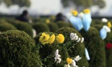 愿逝去的双亲安息，几句悼念父母的寄语