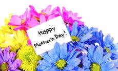 祝福母亲节的朋友圈分享 - 表达爱意、感激母亲与有趣的娱乐内容