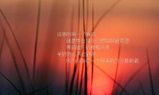 发布:嬉笑怒骂,2022年最新工作心情语录盘点推荐